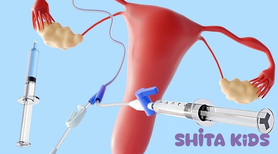 hình ảnh mô phỏng lớp nội mạc tử cung phát triển qua từng giai đoạn của chu kỳ kinh nguyệt