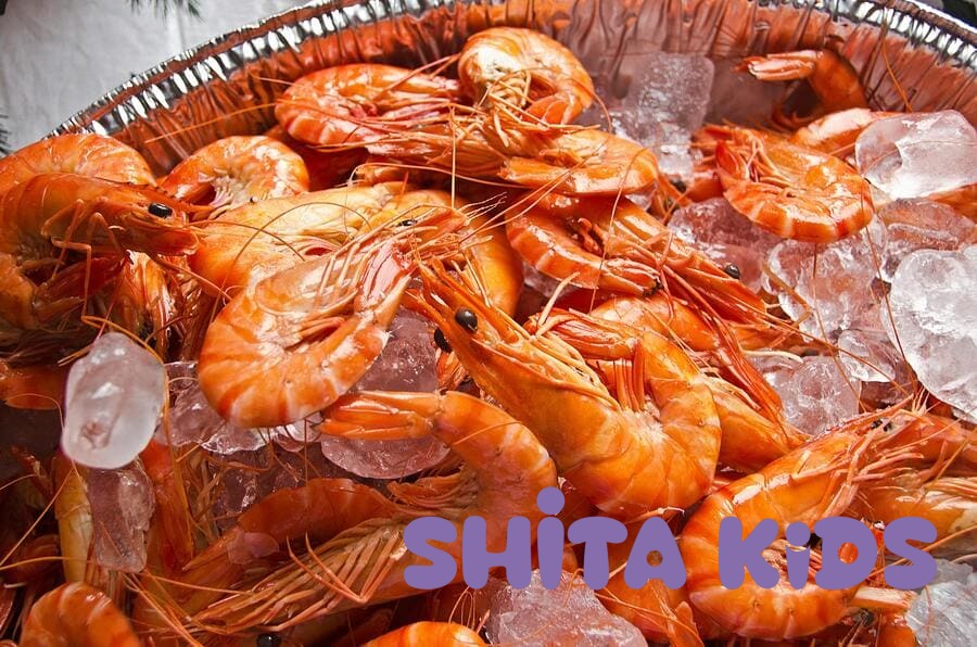 Bé nổi mẩn đỏ và hăm tã bất thường có thể là dấu hiệu phản ứng với thứ mẹ ăn qua sữa mẹ