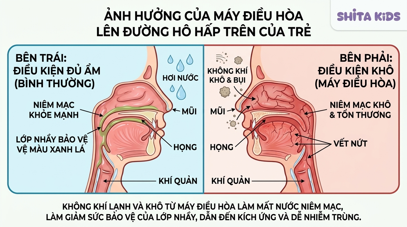 So sánh niêm mạc họng bé khỏe và khô do nằm điều hòa độ ẩm thấp